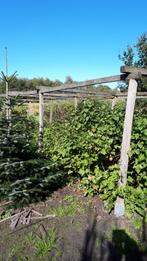 houten palen voor bescherming fruit, groente of afrastering, Tuin en Terras, Palen, Balken en Planken, Ophalen, Gebruikt, Palen