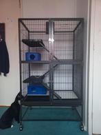 Keddoc ratten of chinchilla verblijf met accessoires., Dieren en Toebehoren, Ophalen, Zo goed als nieuw, Metaal, Overige typen