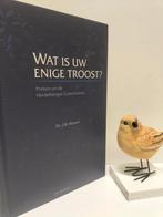 Kersten, Ds. J.W. ; Wat is uw enige troost?, Boeken, Godsdienst en Theologie, Ophalen of Verzenden, Gelezen, Christendom | Protestants
