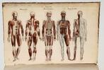 Anatomie Methodique ou Organographie Humaine 1829 15 Platen, Antiek en Kunst, Antiek | Boeken en Bijbels, Ophalen of Verzenden