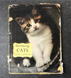 Introducing cats Alan C. Jenkins oud kattenboek, Gelezen, Ophalen of Verzenden, Katten