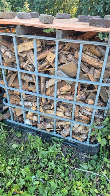 ✅️🪵Bak vol mixhout. +/-1.2m3 voor 95,-. Haardhout  beschikbaar voor biedingen