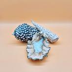 Decoratieve Schelpen Set - Handgemaakt, Ophalen of Verzenden
