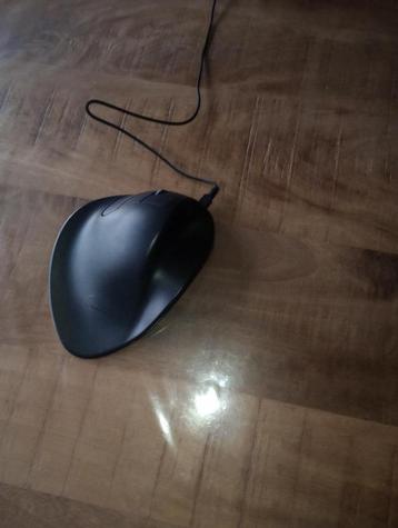 HANDSHOEMOUSE beschikbaar voor biedingen