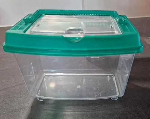 Kleine insectenbox - faunabox, Dieren en Toebehoren, Reptielen en Amfibieën | Toebehoren, Zo goed als nieuw, Terrarium of Paludarium