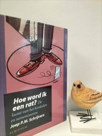 Schrijvers, Joep; Hoe word ik een rat? beschikbaar voor biedingen