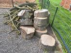 Haardhout, Tuin en Terras, Haardhout, Minder dan 3 m³, Ophalen, Overige houtsoorten, Blokken