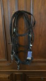 Bitloos hoofdstel, Ophalen of Verzenden, Nieuw, Overige soorten