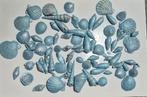 Blauwe glitter schelpjes  - inclusief verzendkosten, Ophalen of Verzenden, Nieuw, Overige typen