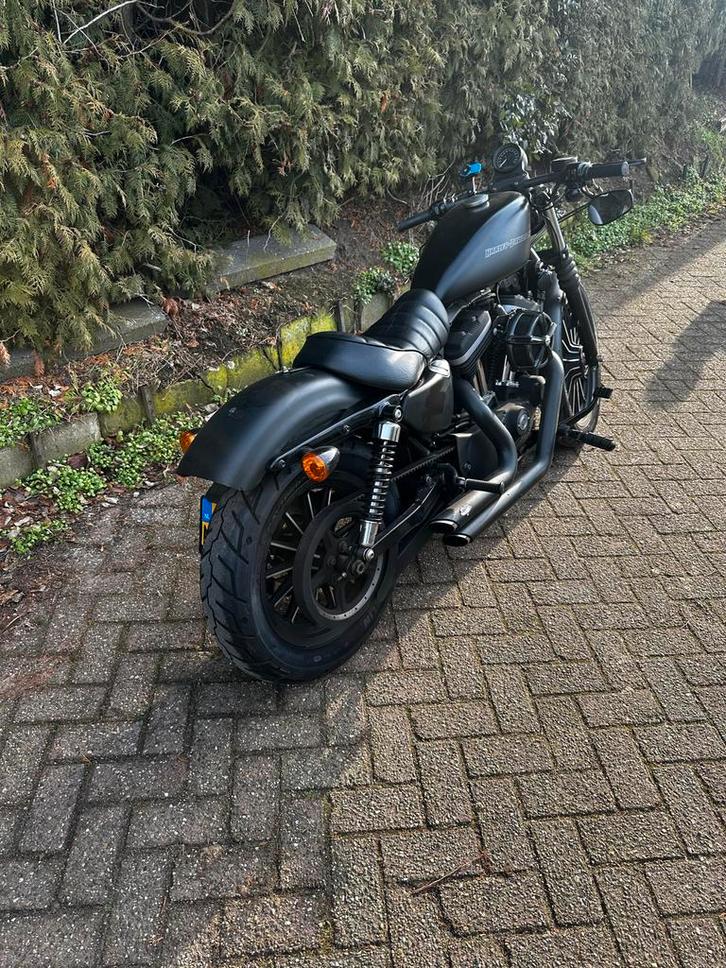 Harley-Davidson Sportster 883 - Stoere Bobber!, Motoren, Motoren | Harley-Davidson, Particulier, Chopper, meer dan 35 kW, 2 cilinders