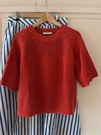 Rood/oranje trui korte mouw SissyBoy mt S, Sissy-Boy, Ophalen of Verzenden, Korte mouw, Maat 36 (S)