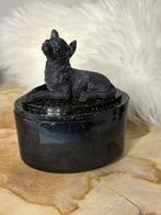 Diverse mini-urnen en gedenkartikelen voor huisdieren, Ophalen of Verzenden