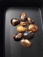 Lot met zeer grote barnsteen cabochons, Sieraden, Tassen en Uiterlijk, Edelstenen, Ophalen of Verzenden, Zo goed als nieuw