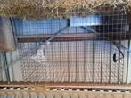 Kippenren gaas, Dieren en Toebehoren, Pluimvee | Toebehoren, Ophalen, Gebruikt, Kippenhok of Kippenren