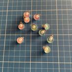 Sieraden maken, bedels, schelp met parel, 10 stuks, Ophalen of Verzenden, Nieuw, Bedel