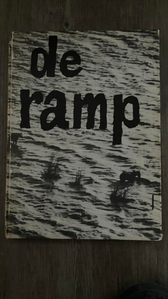 Boek watersnoodramp, Ophalen of Verzenden, Gebruikt