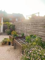 Makkelijke Moestuin MM-bamboo tafel met klimrek, Ophalen, Tuin, Zo goed als nieuw, Rechthoekig