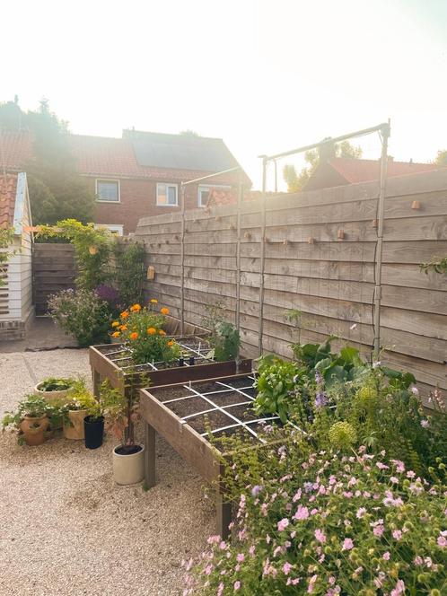 Makkelijke Moestuin MM-bamboo tafel met klimrek, Tuin en Terras, Bloembakken en Plantenbakken, Zo goed als nieuw, Hout, Balkon