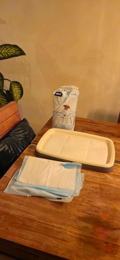 Nieuw! Savic puppy trainer startpakket, Dieren en Toebehoren, Honden-accessoires, Nieuw, Ophalen of Verzenden