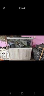 Aquarium, Ophalen, Gebruikt, Leeg aquarium