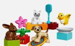 Duplo huisdieren, Ophalen, Zo goed als nieuw, Duplo