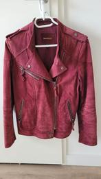 Biker jasje leer/suede aubergine kleurig, Kleding | Dames, Jasjes, Kostuums en Pakken, Gedragen, Jasje, Maat 42/44 (L), Mango