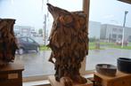 Handgemaakte Grote Uil van Teakhout (125 cm), Verzamelen, Ophalen, Nieuw, Dier