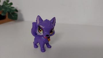 Vampier hondje beschikbaar voor biedingen