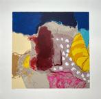 Zeefdruk Henk van Vessem, Antiek en Kunst, Kunst | Litho's en Zeefdrukken, Ophalen of Verzenden