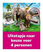 4 entreekaarten Uitstapje naar keuze, Drie personen of meer, Ticket of Toegangskaart