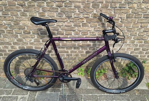 Giant Bronco Mtb Shimano Deore 1x11 Custom Billy Bonkers, Fietsen en Brommers, Fietsen | Mountainbikes en ATB, Zo goed als nieuw
