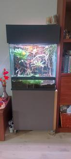 Terrarium, Dieren en Toebehoren, Ophalen, Zo goed als nieuw, Terrarium of Paludarium
