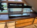 Aquarium juwel, Dieren en Toebehoren, Vissen | Aquaria en Toebehoren, Ophalen of Verzenden, Leeg aquarium