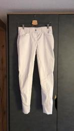 Witte rijbroek easy rider maat 38, Gebruikt, Dressuur, Dames, Onderkleding