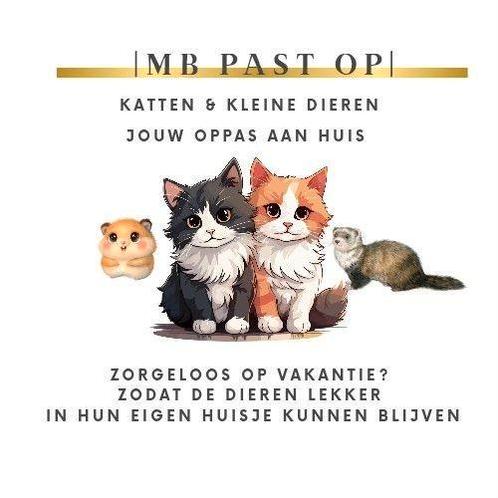 Zoekt u een kattenoppas? Dan bent u aan het juiste adres!, Diensten en Vakmensen, Dieren | Katten | Verzorging, Oppas en Les