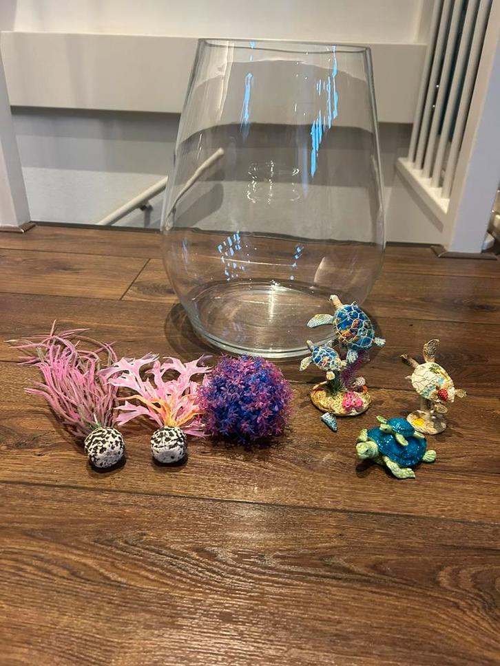 Vissenkom met accessoires, Dieren en Toebehoren, Vissen | Aquaria en Toebehoren, Gebruikt, Leeg aquarium, Ophalen of Verzenden