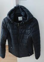 Winterjasje - Maat XS, Kleding | Dames, Jassen | Winter, Primark, Zwart, Ophalen of Verzenden, Zo goed als nieuw
