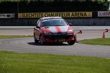 Peugeot 206 rallycup auto beschikbaar voor biedingen
