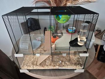 Knaagdieren kooi beschikbaar voor biedingen