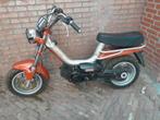 Tomos youngster Snor ( gilera citta look ), Fietsen en Brommers, Brommers | Tomos, Ophalen, Overige modellen, 49 cc, Zo goed als nieuw