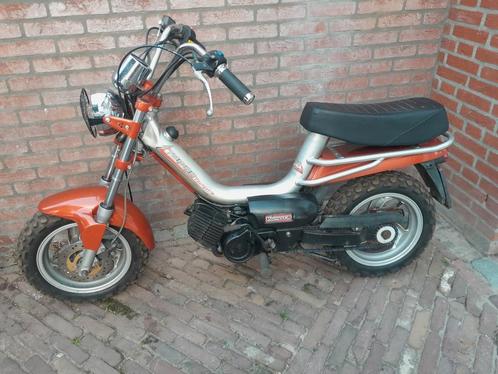 Tomos youngster Snor ( gilera citta look ), Fietsen en Brommers, Brommers | Tomos, Zo goed als nieuw, Overige modellen, Maximaal 25 km/u
