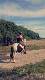 Bijrijder/verzorgster aangeboden, Dieren en Toebehoren, Paarden en Pony's | Overige Paardenspullen, Ophalen, Overige soorten