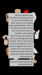 Honden uitlater aangeboden!, Overige vormen, Overige uren, MBO, Geschikt als bijbaan