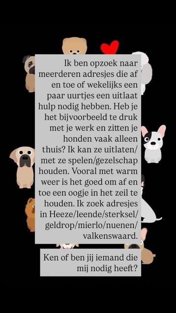 Honden uitlater aangeboden! beschikbaar voor biedingen