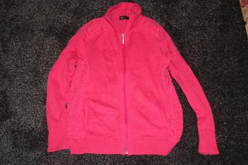 vest roze witteveen beschikbaar voor biedingen