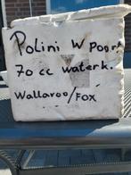 70cc polini waterkoeling!  Honda wallaroo/Peugeot fox, Ophalen of Verzenden, Gebruikt