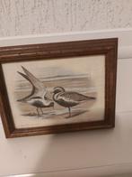 Vogels Prent, Ophalen, Minder dan 50 cm, Zo goed als nieuw, Schilderij