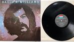 DMc1 David  McWilliams Same HOL77 €7,50, Ophalen of Verzenden, Zo goed als nieuw, 12 inch, Overige genres