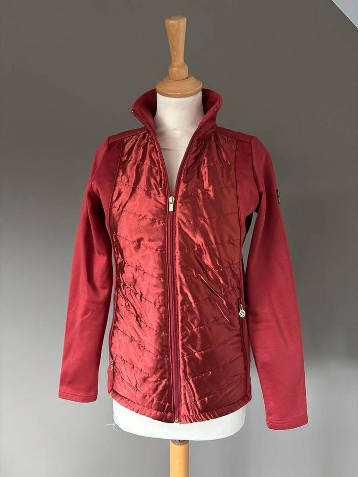 Quur Jasje Roestbruin - Maat S (34/36), Dieren en Toebehoren, Paardrijkleding, Zo goed als nieuw, Ophalen of Verzenden