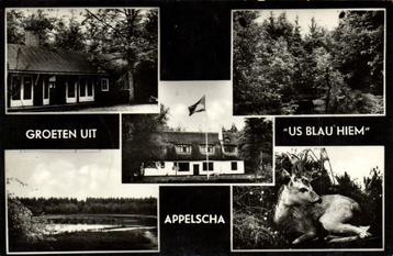 Groeten uit Us blau hiem, Appelscha - 5 afb - 1963? gelopen beschikbaar voor biedingen